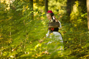 Weite Wälder und unberührte Natur: wie im Märchen der Gebrüder Grimm. Foto: Paavo Blafield